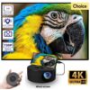 Home high-definition projector miniature portable small mobile phone projector wireless